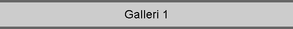 Galleri 1