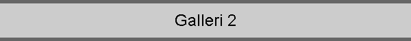 Galleri 2