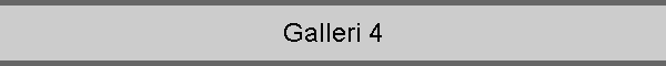 Galleri 4